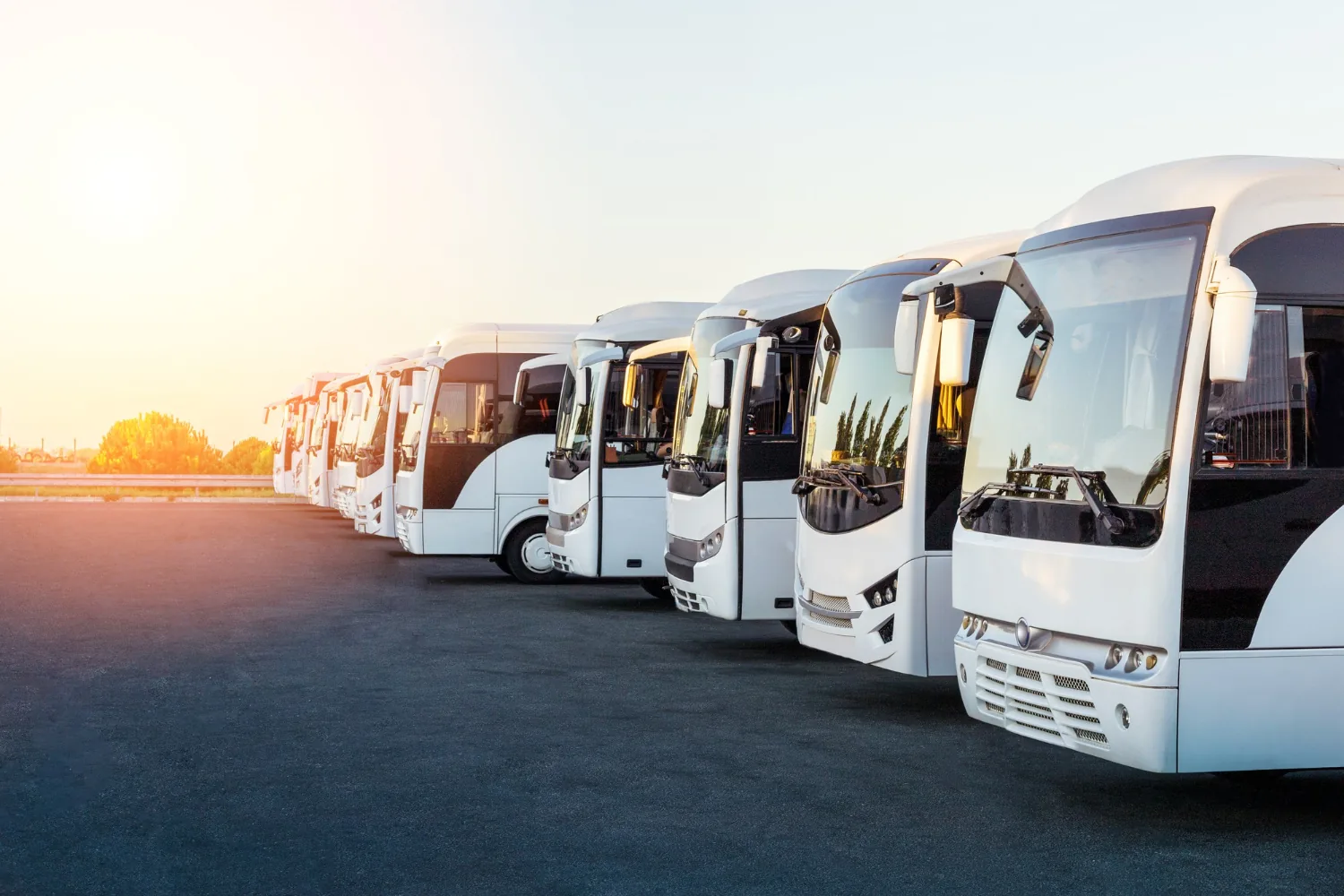 Flota de buses alineados al atardecer