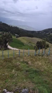 Paisaje de cerros con camino y vegetación
