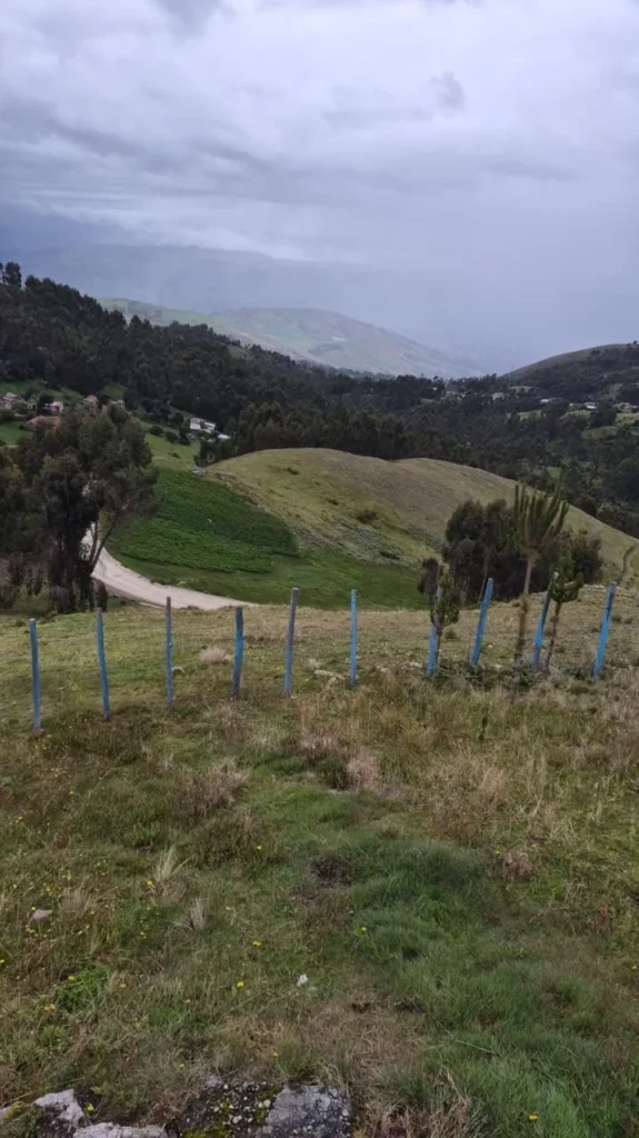 Paisaje de cerros con camino y vegetación